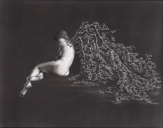 Regrowth - Original Art - 11x14in pitt graphite on panel