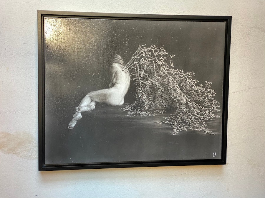 Regrowth - Original Art - 11x14in pitt graphite on panel