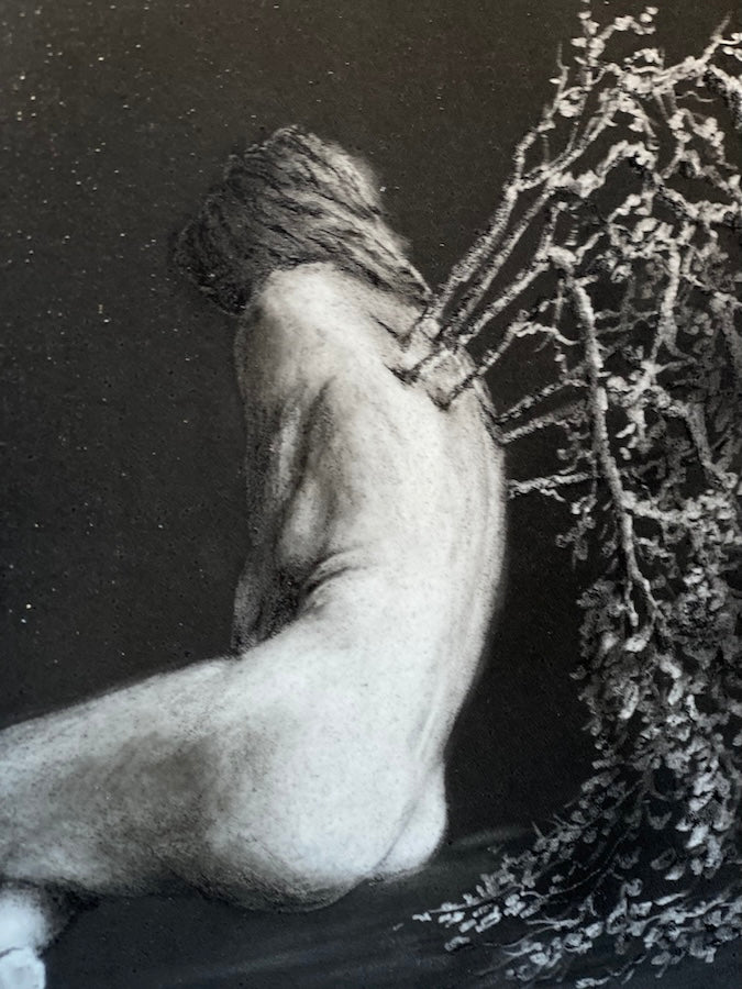 Regrowth - Original Art - 11x14in pitt graphite on panel