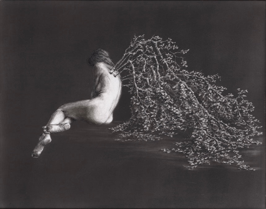 Regrowth - Original Art - 11x14in pitt graphite on panel